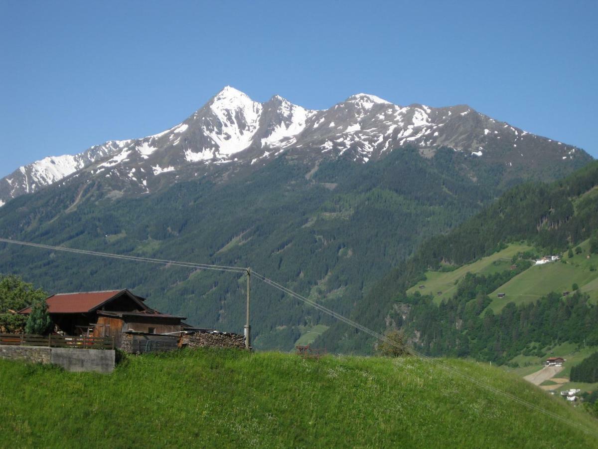 Appartement Haus Gamskogl à Neustift im Stubaital Extérieur photo