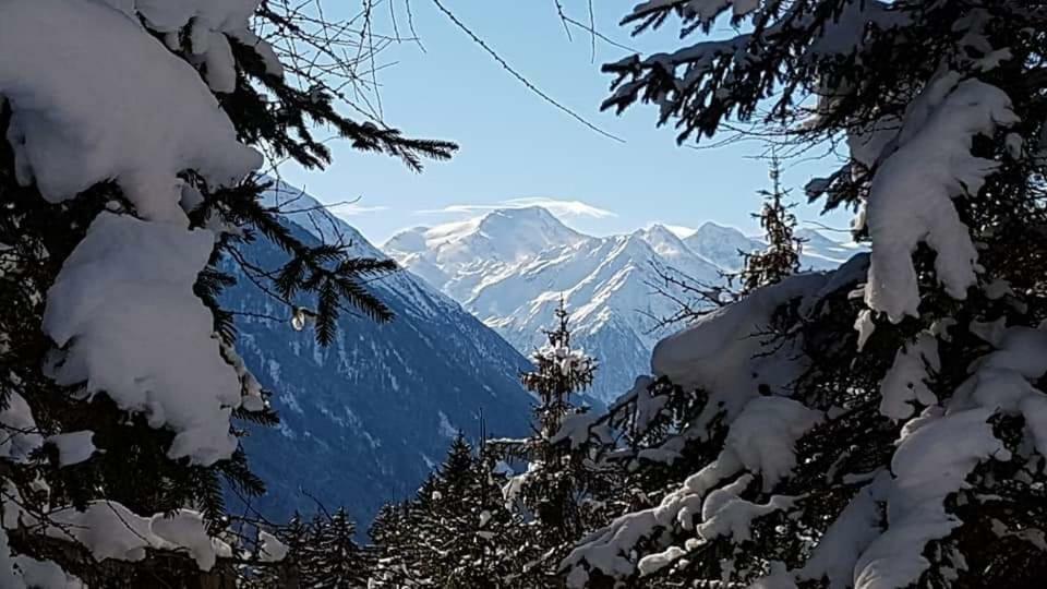 Appartement Haus Gamskogl à Neustift im Stubaital Extérieur photo