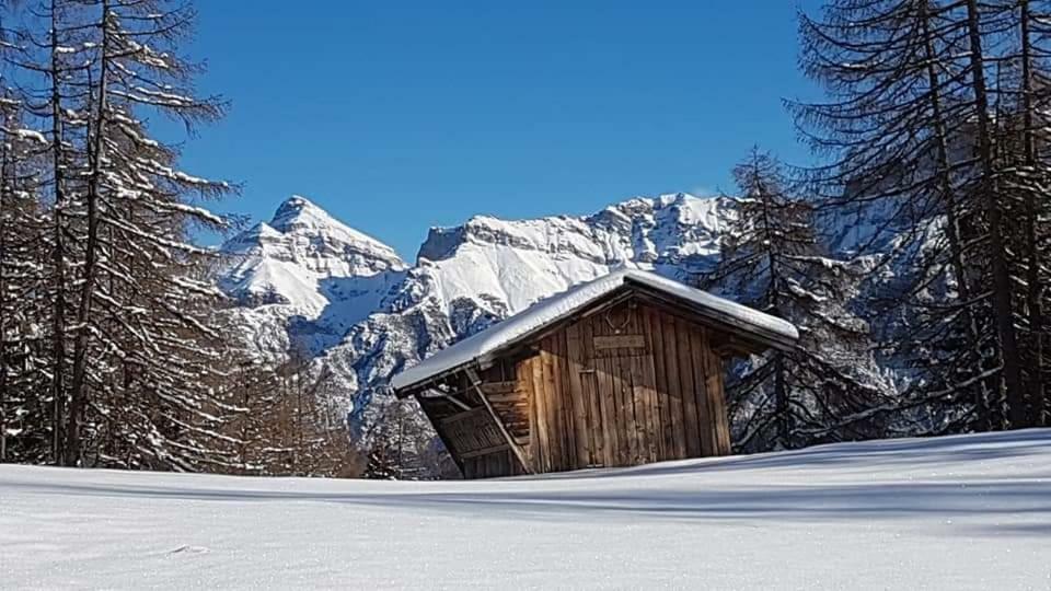 Appartement Haus Gamskogl à Neustift im Stubaital Extérieur photo