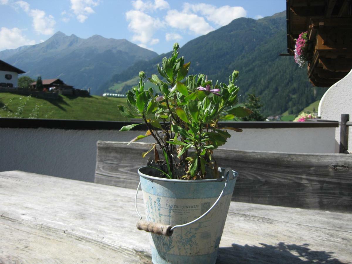 Appartement Haus Gamskogl à Neustift im Stubaital Extérieur photo